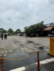 T99 (D22), Factory #480160311